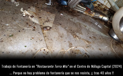 Trabajo de Fontanería en Restaurante Terra Mia en el Centro de Málaga Capital 2024
