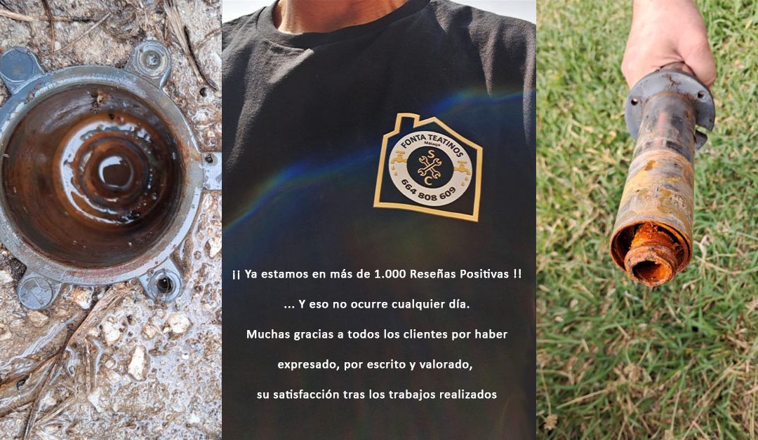 Cuatro Décadas de Confianza Inquebrantable Avaladas por Más de 1.000 Reseñas de Clientes Satisfechos en 2025