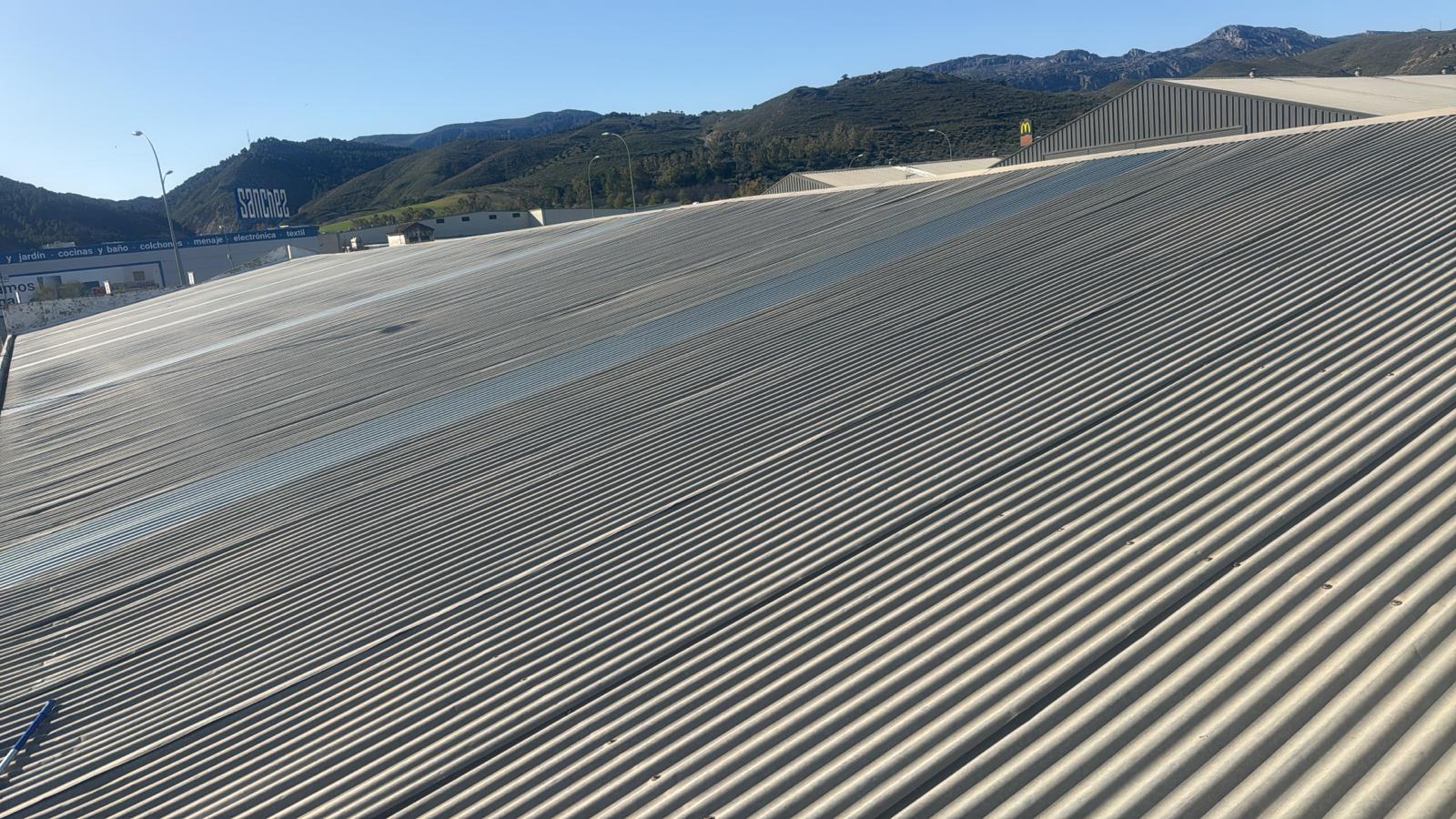 WhatsApp Image 2026 04 06 at 10.14.32 AM